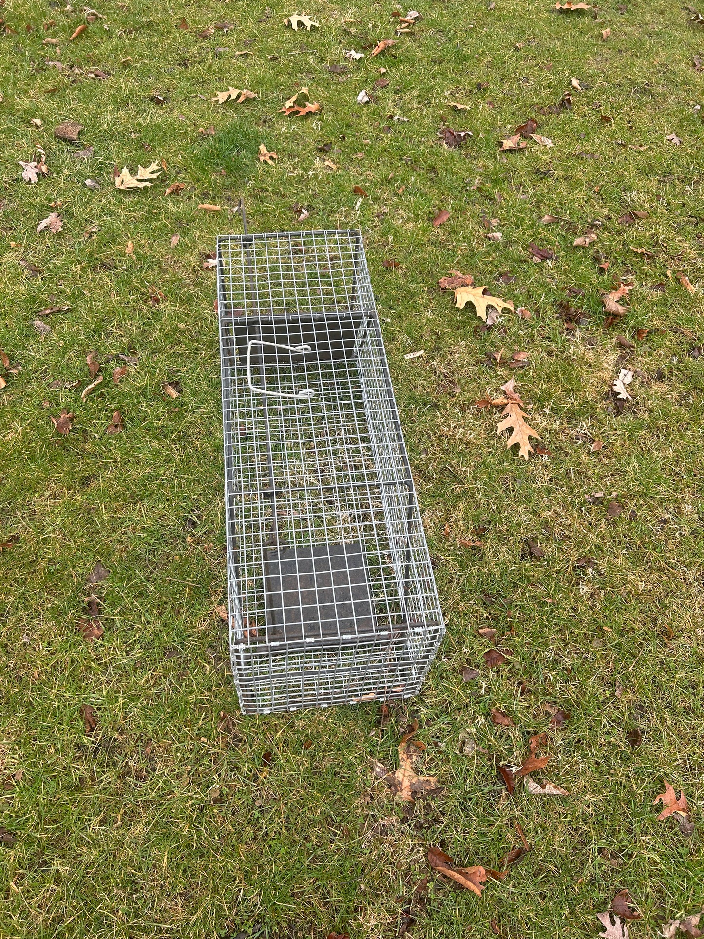 Medium Animal Live Trap