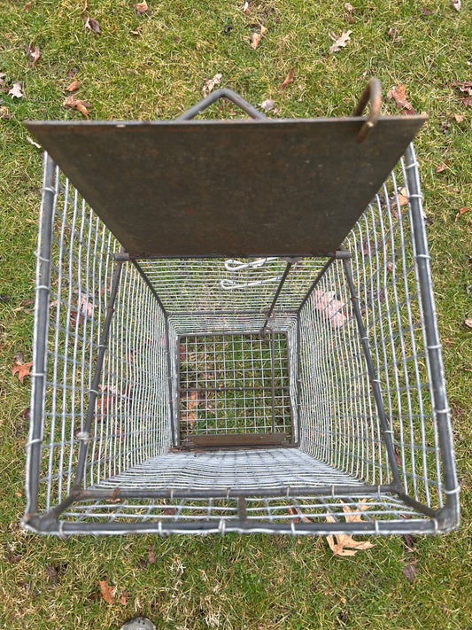 Medium Animal Live Trap